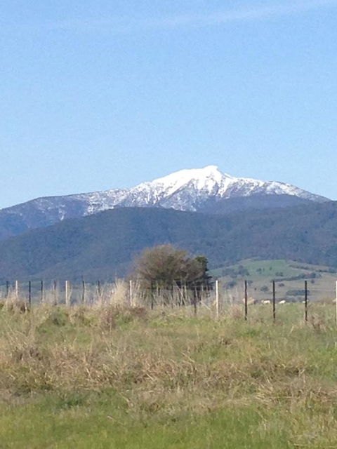 High Country Holiday Park - Redcliffe Tourism 34