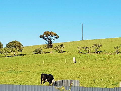 Coragulac House Cottages - Redcliffe Tourism 20
