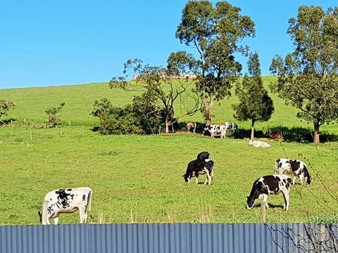 Coragulac House Cottages - Redcliffe Tourism 22