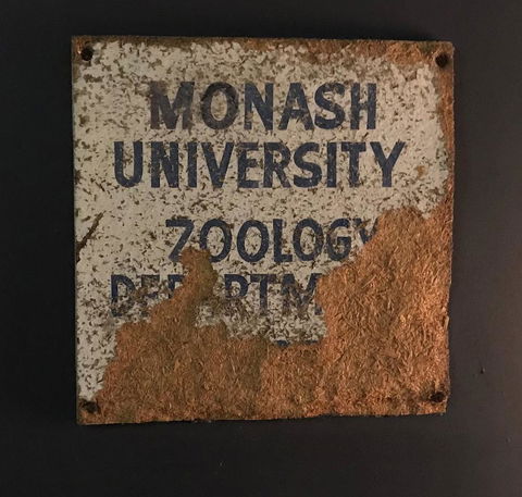 Coragulac House Cottages - Redcliffe Tourism 40