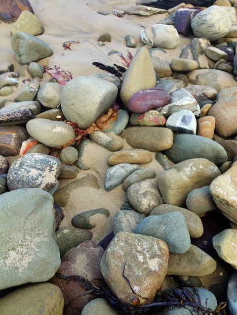 Lorne Surf Apartments - Redcliffe Tourism 15