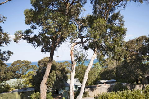 Lorne Surf Apartments - Redcliffe Tourism 6