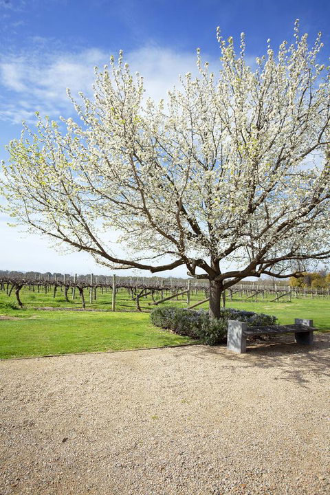 Lancemore Milawa - Redcliffe Tourism 12