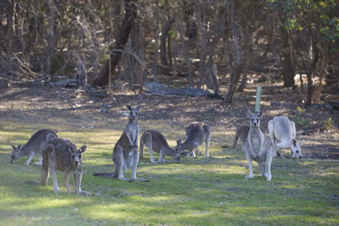 Yering Gorge Cottages - Redcliffe Tourism 14
