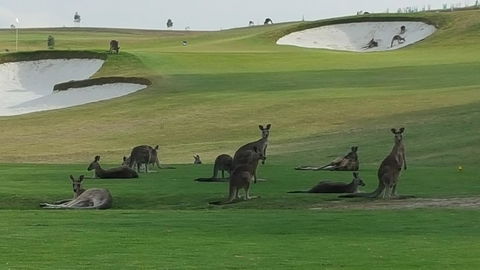 Yering Gorge Cottages - Redcliffe Tourism 10