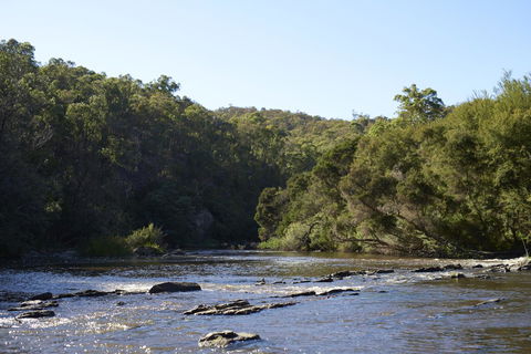 Yering Gorge Cottages - Redcliffe Tourism 21