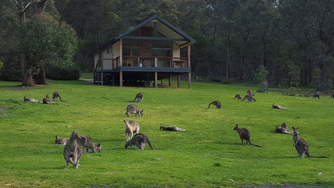 Yering Gorge Cottages - Redcliffe Tourism 6