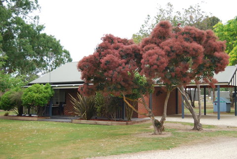 Greenvale Holiday Units - Redcliffe Tourism 9