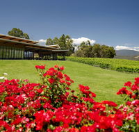 Balgownie Estate Vineyard Resort  Spa - Redcliffe Tourism