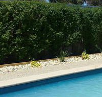 Robinvale Bridge Motel - Redcliffe Tourism