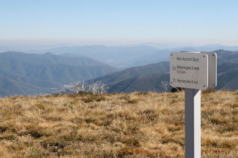 The Harrietville Snowline Hotel - Redcliffe Tourism 31