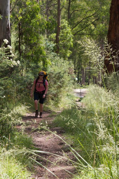The Harrietville Snowline Hotel - Redcliffe Tourism 11