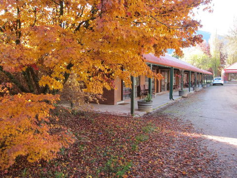 The Harrietville Snowline Hotel - Redcliffe Tourism 21