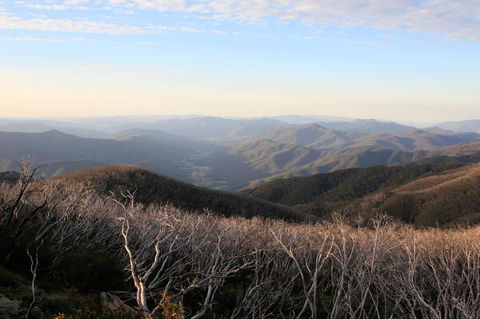 The Harrietville Snowline Hotel - Redcliffe Tourism 36