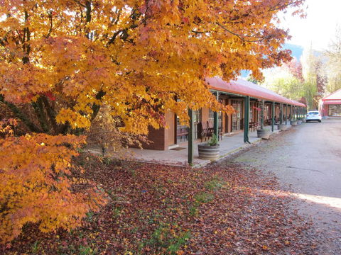 The Harrietville Snowline Hotel - Redcliffe Tourism 14