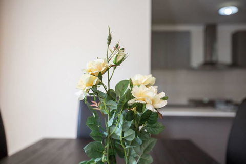 Holiday Rose - Redcliffe Tourism 8