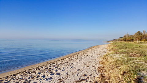 Avilla By The Bay - Redcliffe Tourism 6