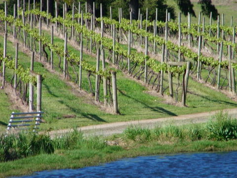 De\'Vine Escape - Redcliffe Tourism 13