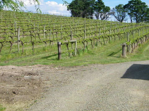 De\'Vine Escape - Redcliffe Tourism 23