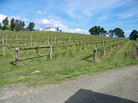 De\'Vine Escape - Redcliffe Tourism 30