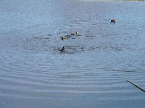 De\'Vine Escape - Redcliffe Tourism 21