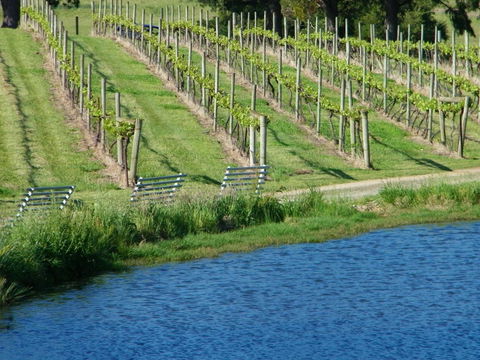 De\'Vine Escape - Redcliffe Tourism 29