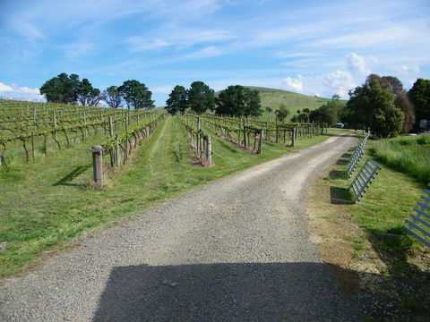 De\'Vine Escape - Redcliffe Tourism 24