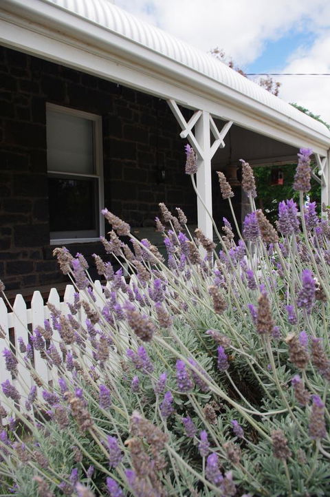 Little River Bed And Breakfast - Redcliffe Tourism 30