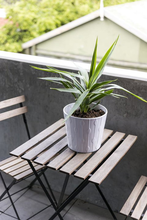 Complete Host Halo Apartments - Redcliffe Tourism 35