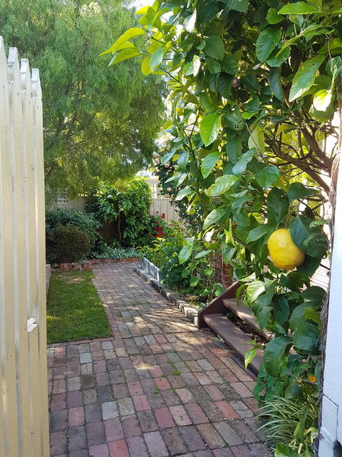 Healesville House - Fig Tree House - Redcliffe Tourism 17