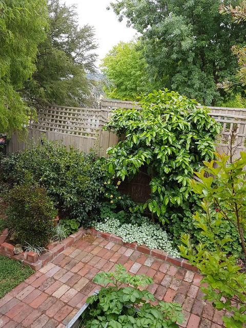 Healesville House - Fig Tree House - Redcliffe Tourism 21