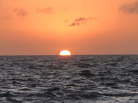 Beautiful, Cosy And Quiet - Redcliffe Tourism 27