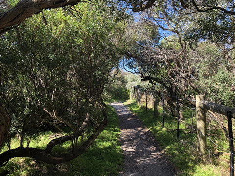 Beautiful, Cosy And Quiet - Redcliffe Tourism 20