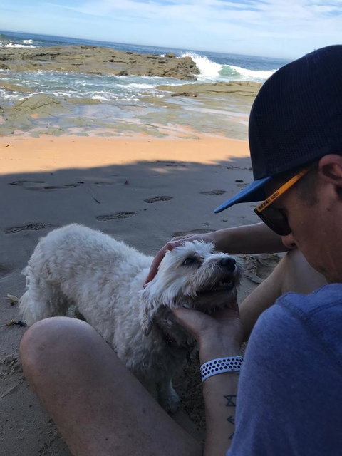 Beautiful, Cosy And Quiet - Redcliffe Tourism 34