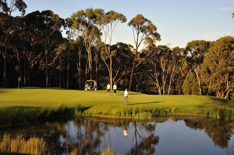 RACV Goldfields Resort - Redcliffe Tourism 31