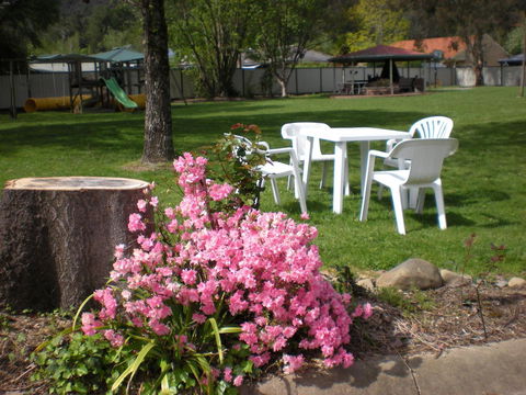 Willow Dene Holiday Apartments - Redcliffe Tourism 24