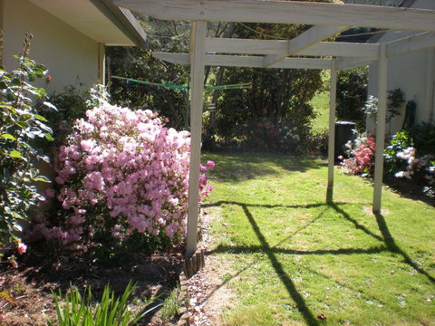 Willow Dene Holiday Apartments - Redcliffe Tourism 25