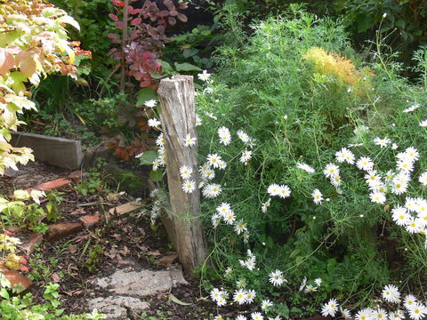 Fairbank House - Redcliffe Tourism 26