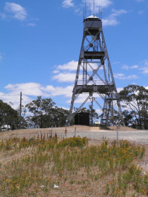 Fairbank House - Redcliffe Tourism 32