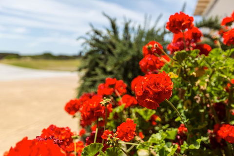 Cottages For Couples - Redcliffe Tourism 13