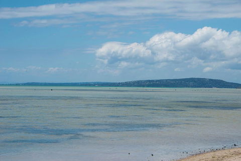 Jettycove Beach House - Redcliffe Tourism 20