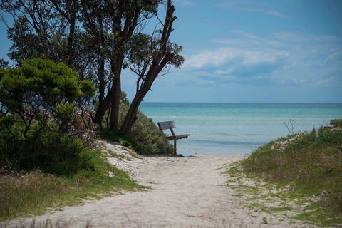 Jettycove Beach House - Redcliffe Tourism 26