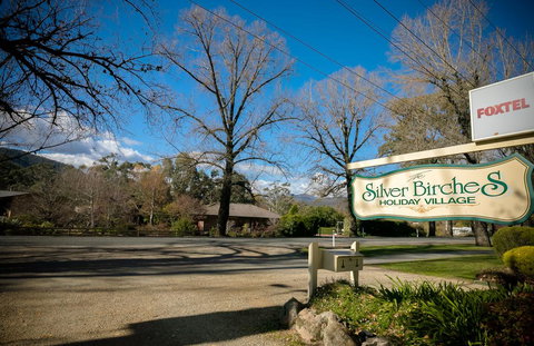 The Birch House - Silver Birches Luxury Accommodation Bright - Redcliffe Tourism 3