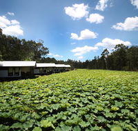 The Boathouses at Leaves  Fishes - Redcliffe Tourism