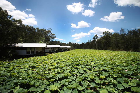 The Boathouses At Leaves & Fishes - Redcliffe Tourism 0