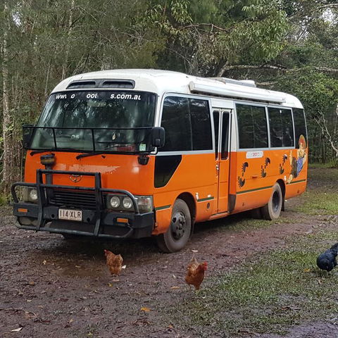 The Cabin - Redcliffe Tourism 3