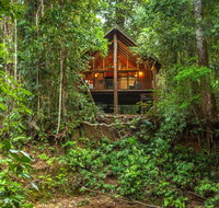 The Canopy Rainforest Treehouses  Wildlife Sanctuary - Redcliffe Tourism