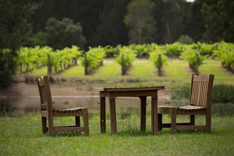 The Carriages Boutique Hotel And Vineyard - Redcliffe Tourism 2