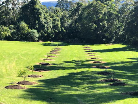 The Drawing Rooms Of Berry - Redcliffe Tourism 3