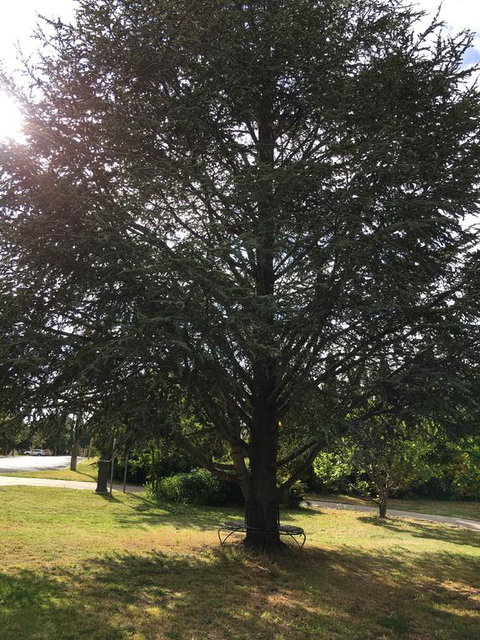 The Glasshouse Boutique Accommodation - Redcliffe Tourism 3